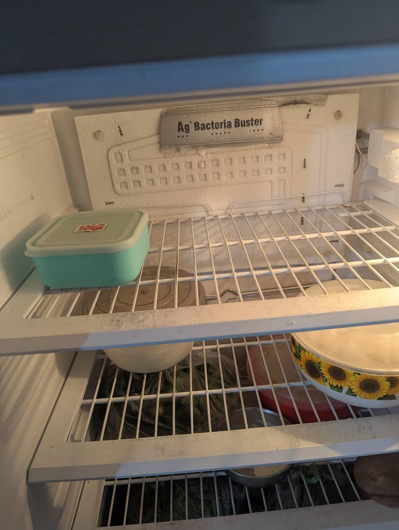Pell fridge 3