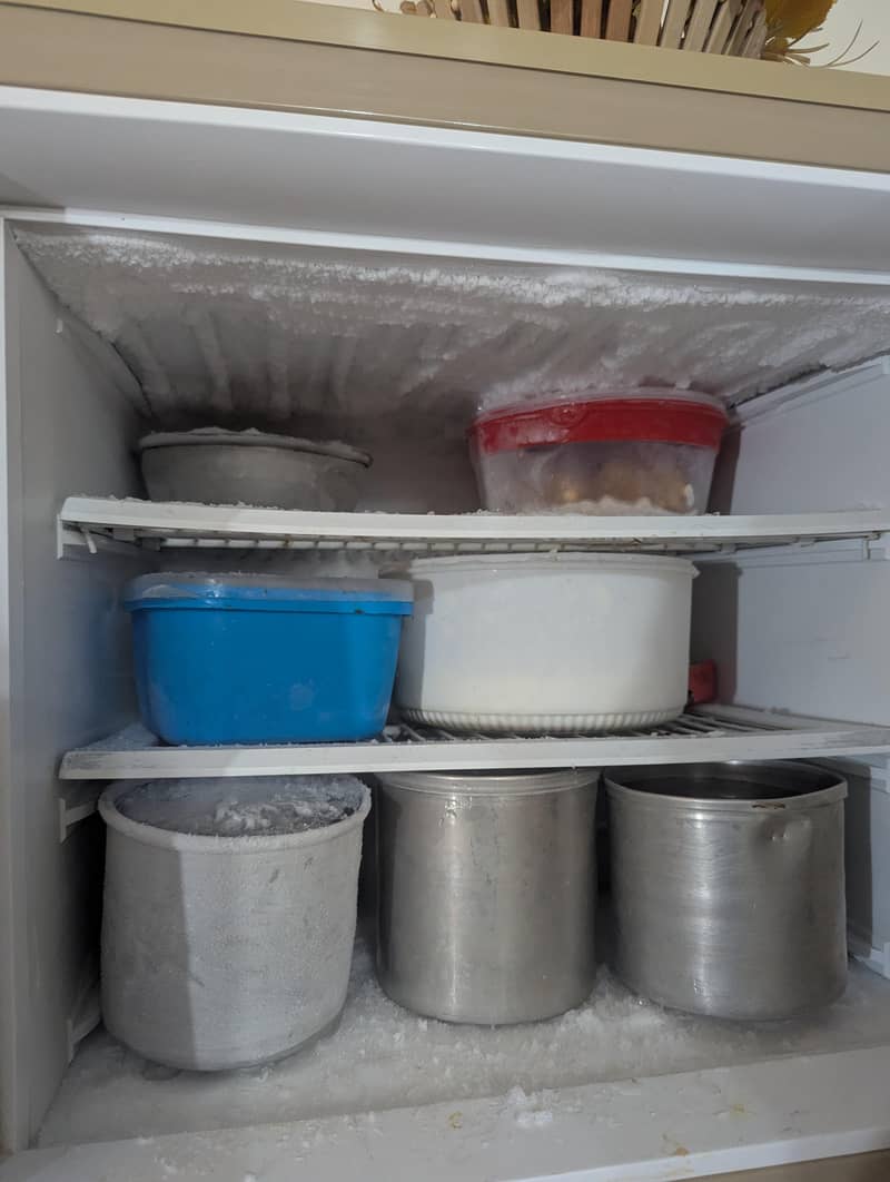 Pell fridge 6