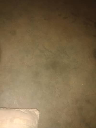 star gari hai