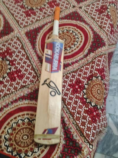 cricket hard ball kot
