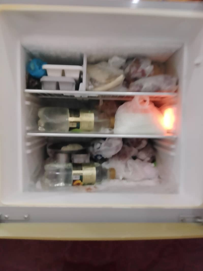 Orient fridge 5