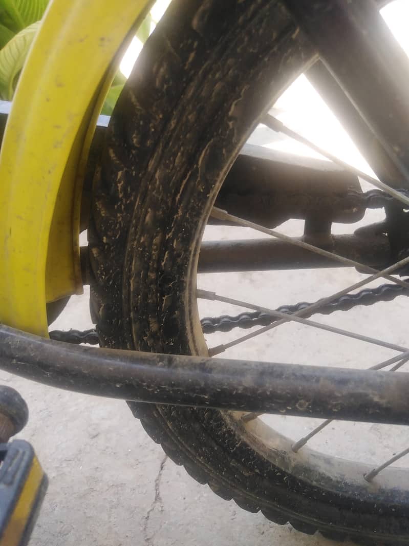 cycle 16 " 1