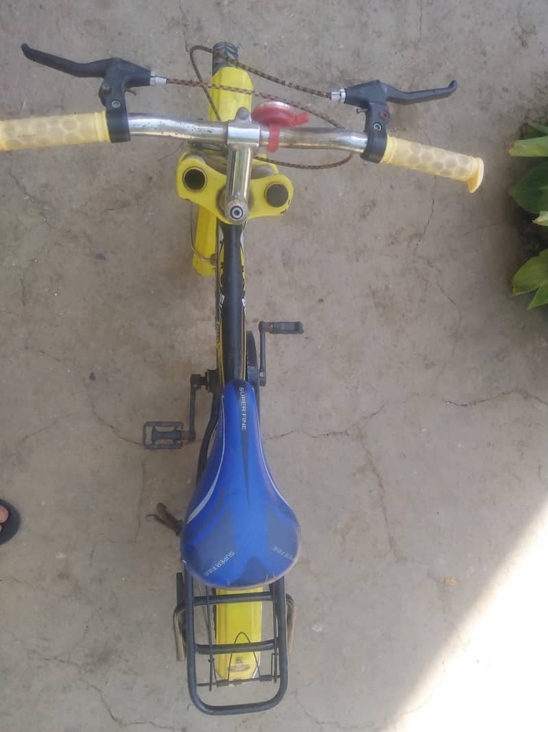 cycle 16 " 6