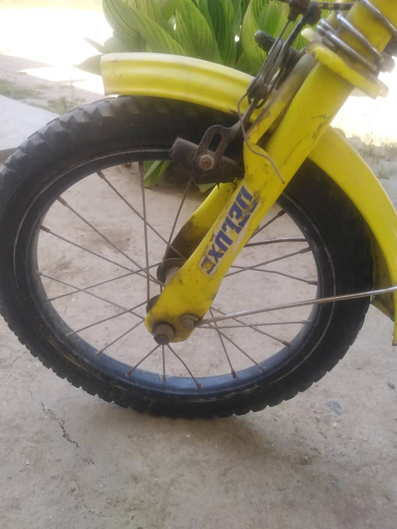 cycle 16 " 13