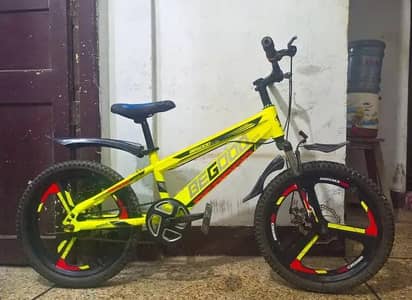 BEGOOD IMPORTED CYCLE - 20 size - 0320/2257/271