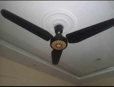 Al Usman pure copper fan