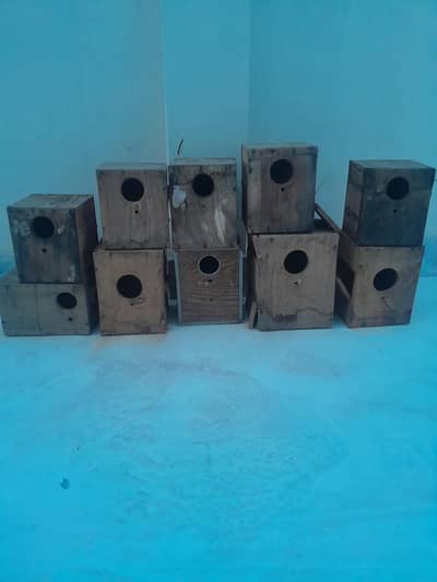 Love bird boxes