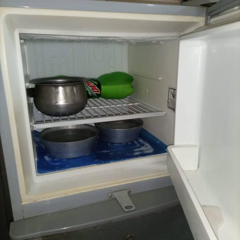 fridge 1
