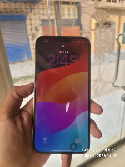 Apple iPhone 13 Pro Max