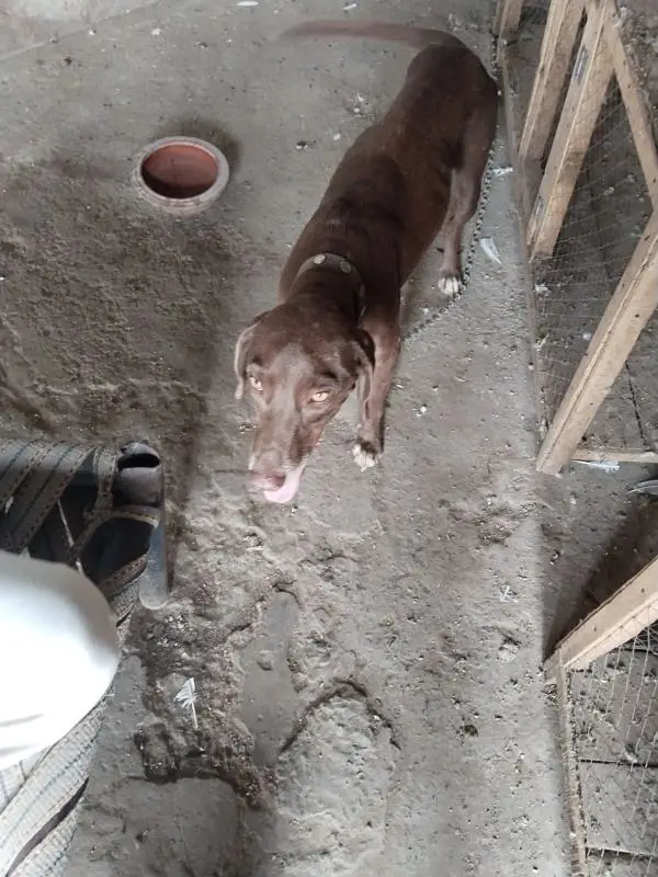 faislabad — photo 2