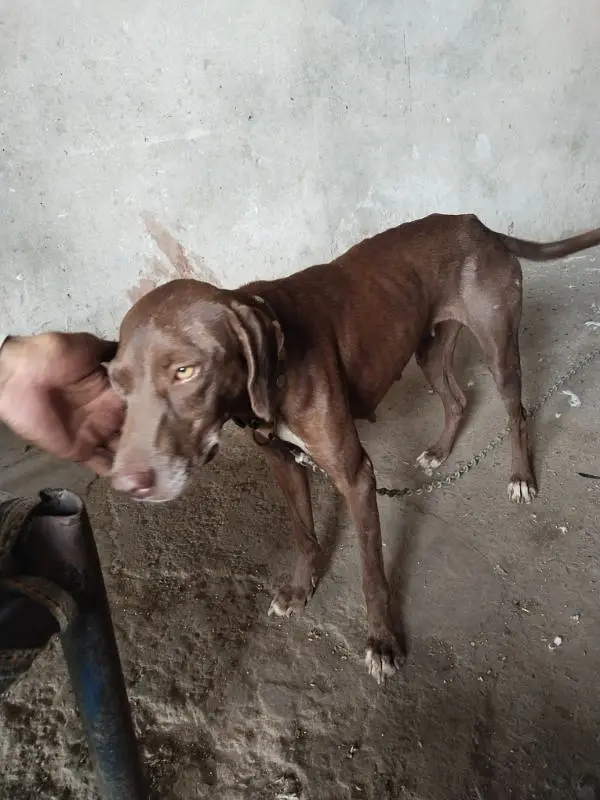 faislabad — photo 3