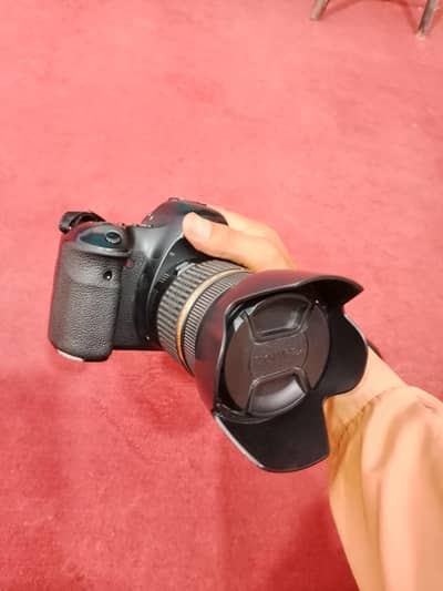 6D camera with 28-75 f2.8 or 50mm f1.8
