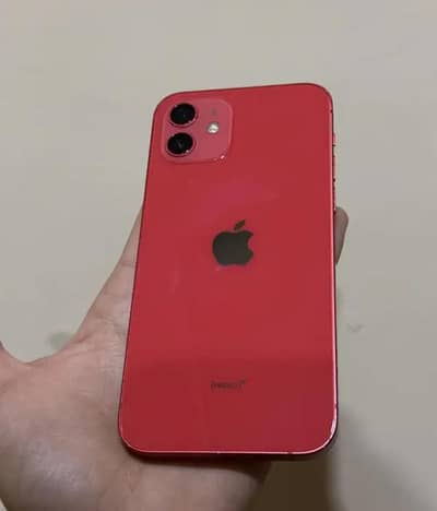 Iphone 12 256gb Pta Approved