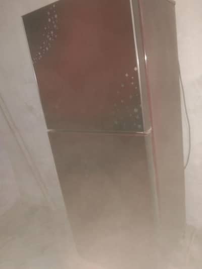 Pel medium fridge