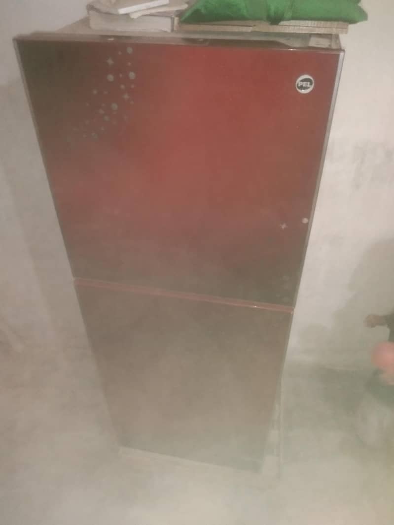 Pel medium fridge 1