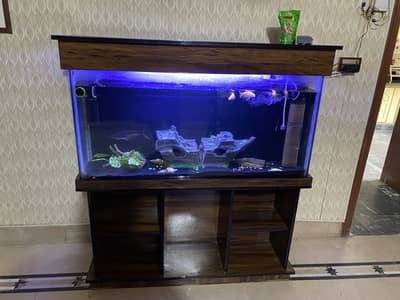 Large Premium Aquarium with Cabinet LED Lights & Filter