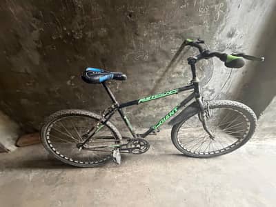 Giant Cycle