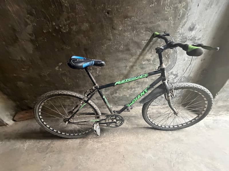 Giant Cycle 0