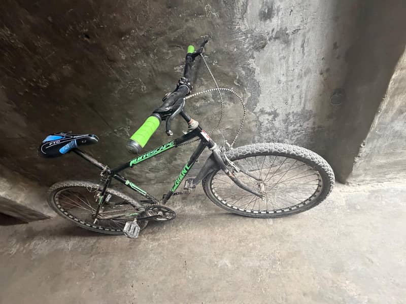 Giant Cycle 1