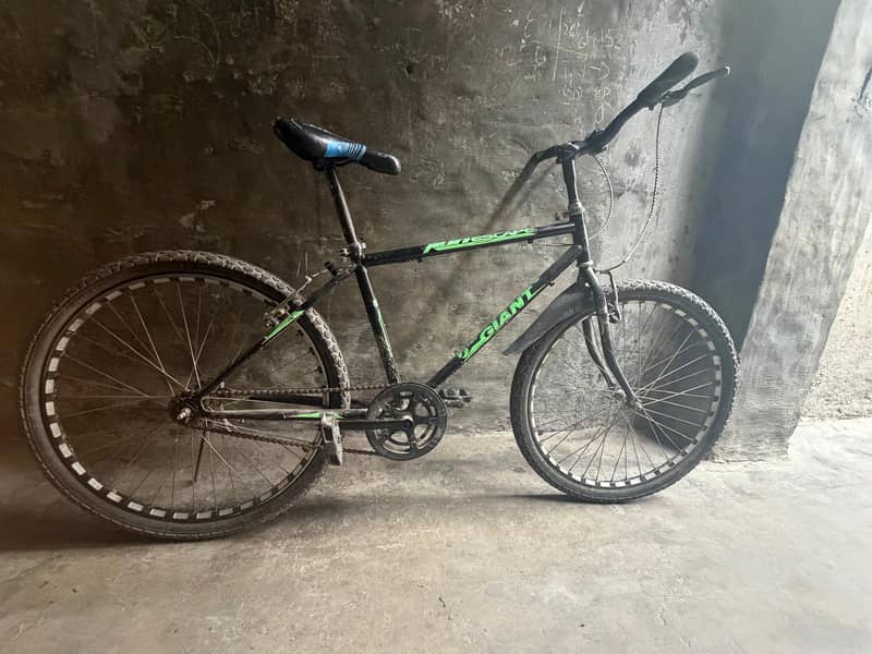 Giant Cycle 2
