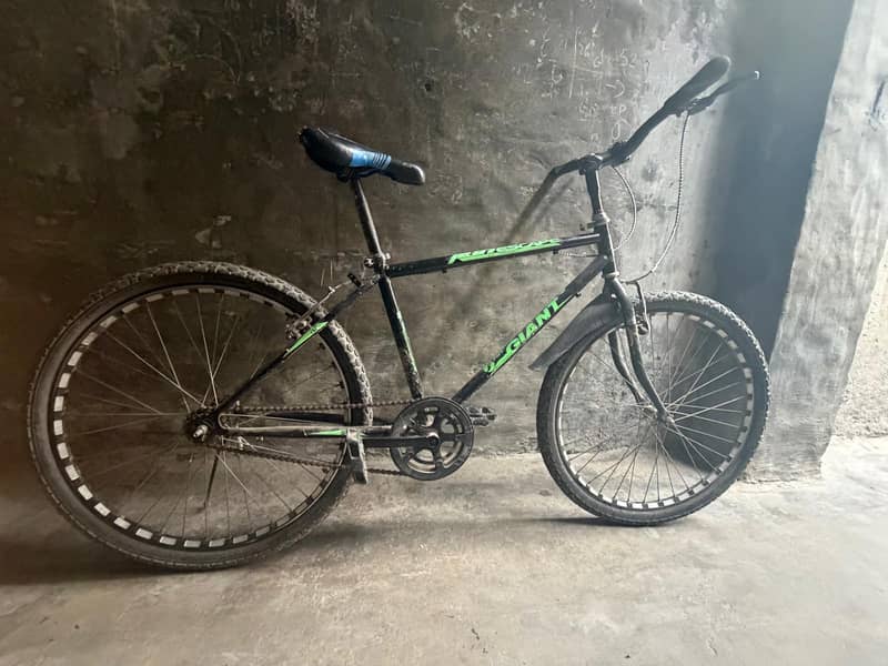 Giant Cycle 3