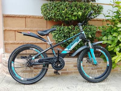 XTHANG Imported cycle - 20 size - 0320/2257/271