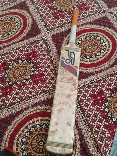 cricket hard ball bat