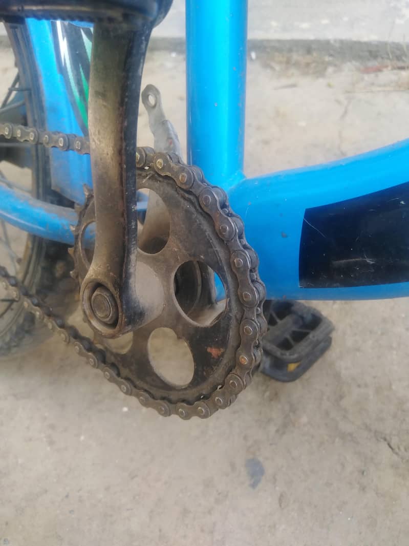 king star cycle 2
