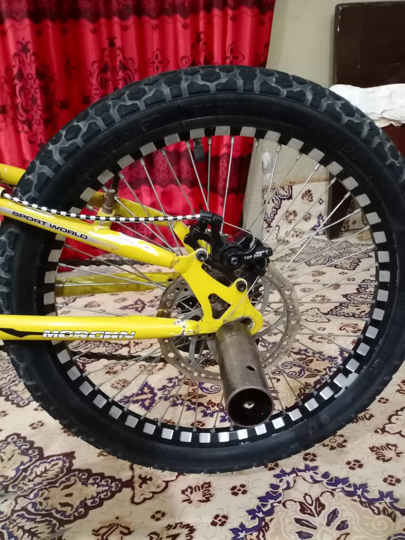 Morgan cycle 5