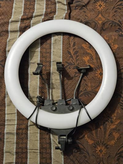 Full Size Ring Light with 2 tripods