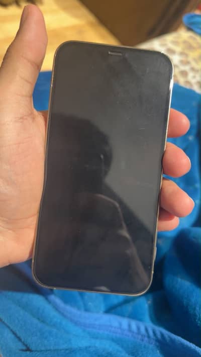 Apple iPhone 12 Pro