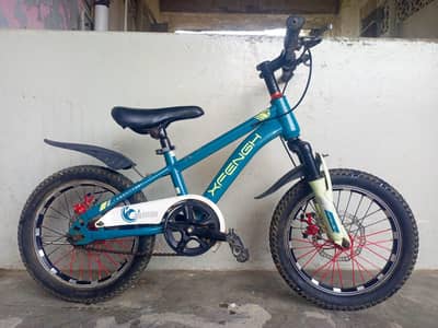 XFENGH imported cycle - 16 size - 0320/2257/271