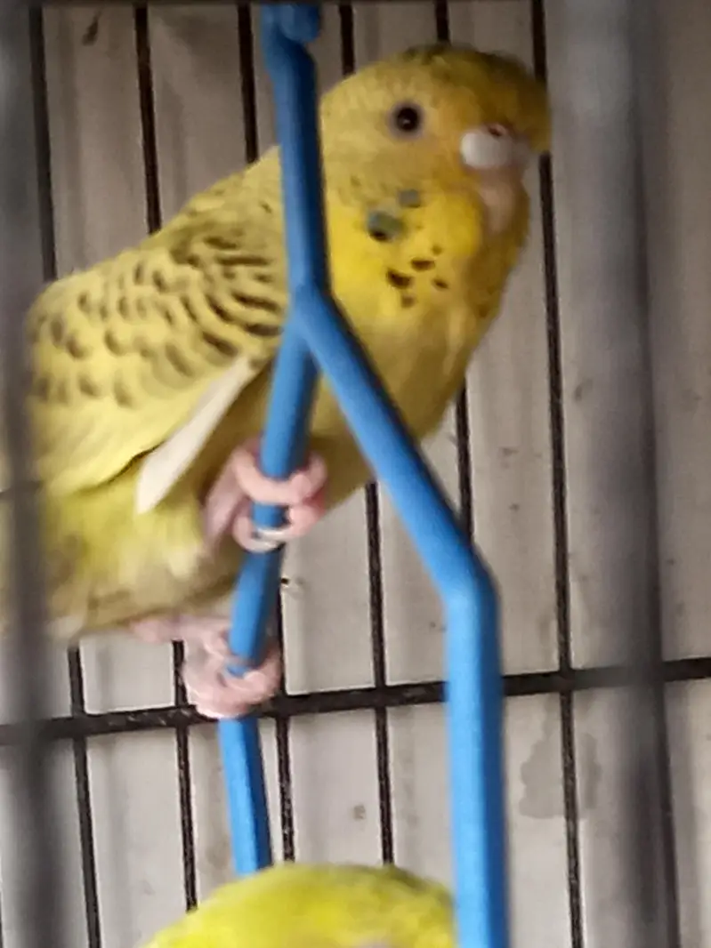 Under size male female — photo 3