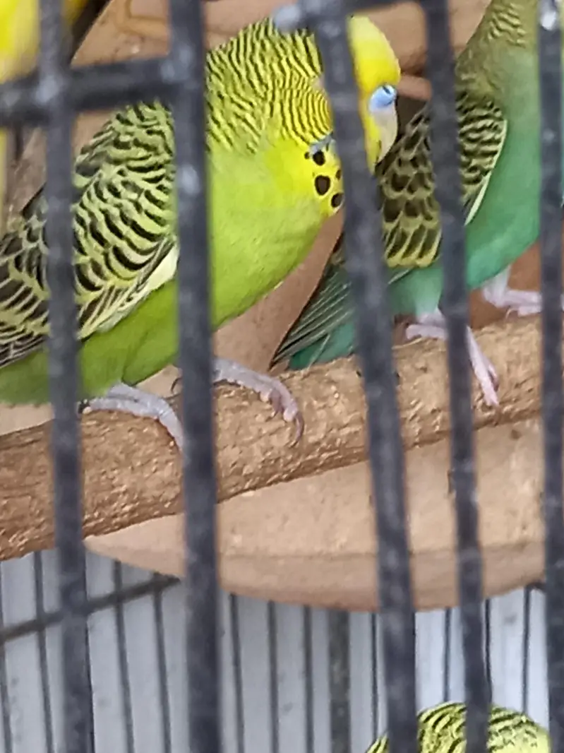 Under size male female — photo 5