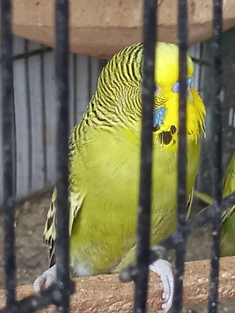 Under size male female — photo 6