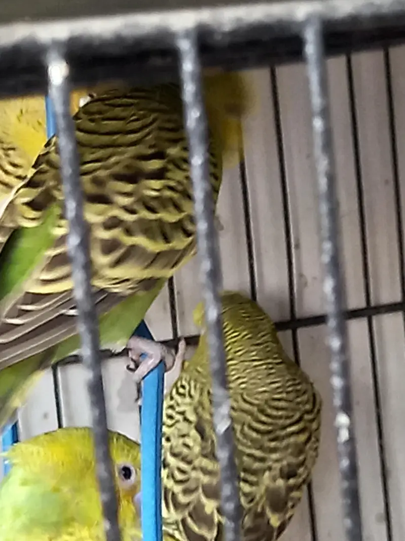 Under size male female — photo 10
