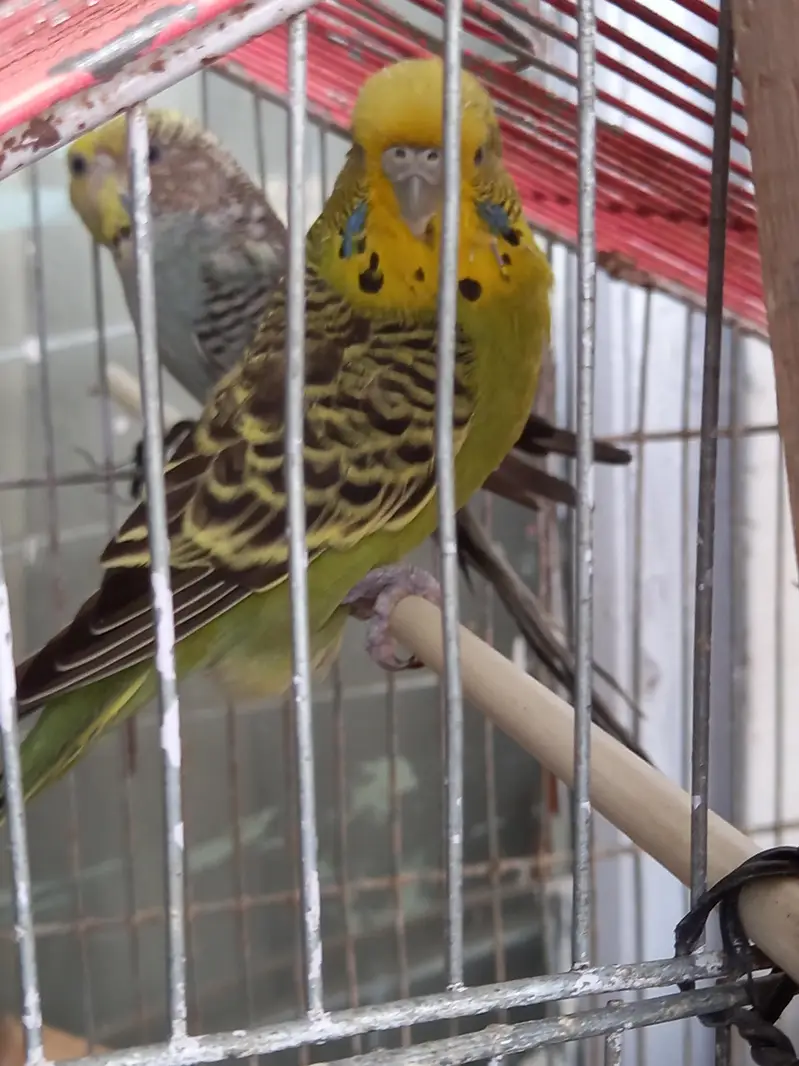 Under size male female — photo 12