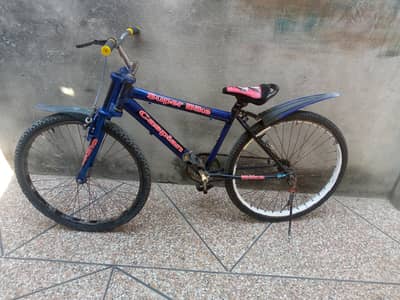 cycle . O324 5487040