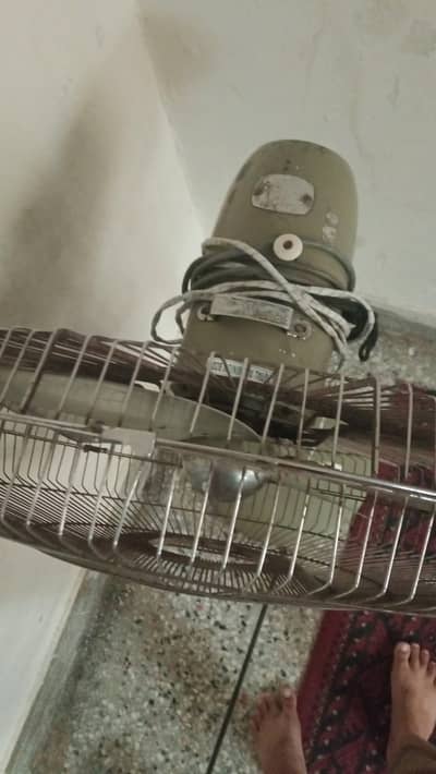 standing fan
