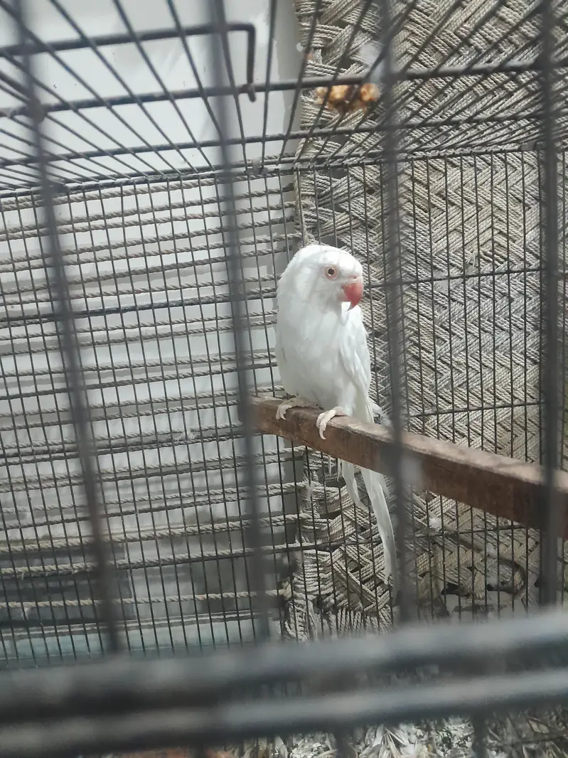 white female — photo 2