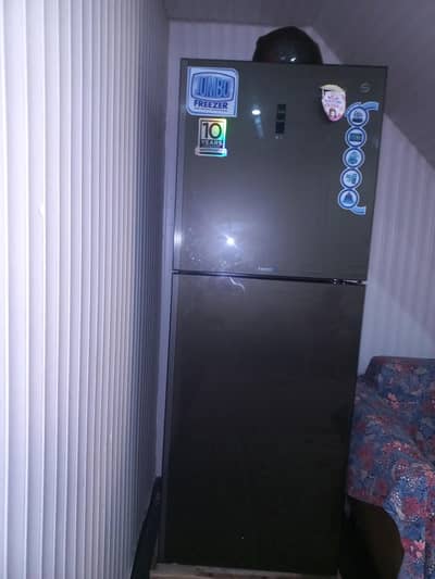 Pel Jumboo fridge