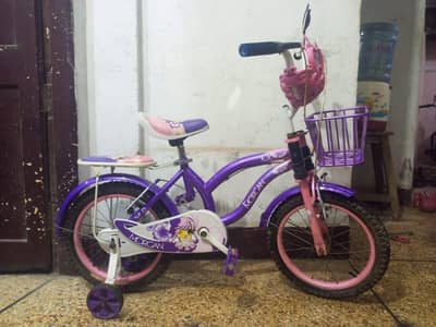 Barbie Cycle (Size 16) (cont N 0316/27/45/675)