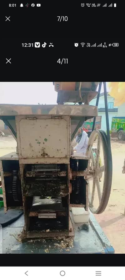 sugar cane matching