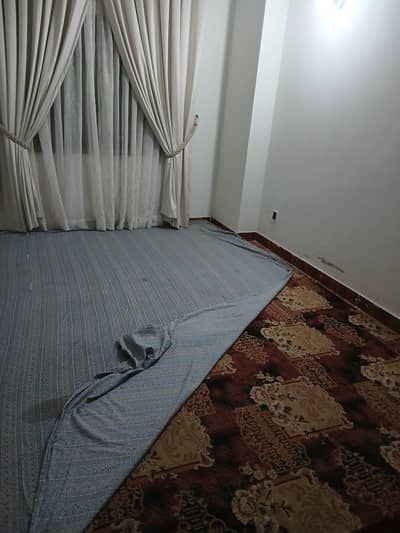 Royal look carpet