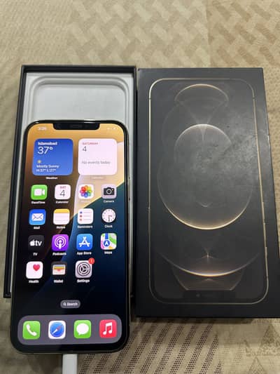 Apple iPhone 12 Pro Max