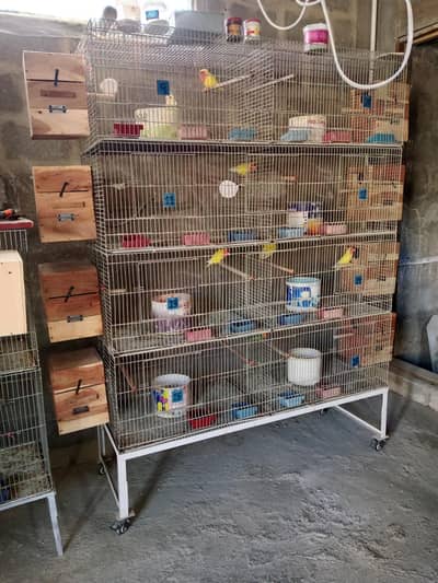 8 polor cage for sale