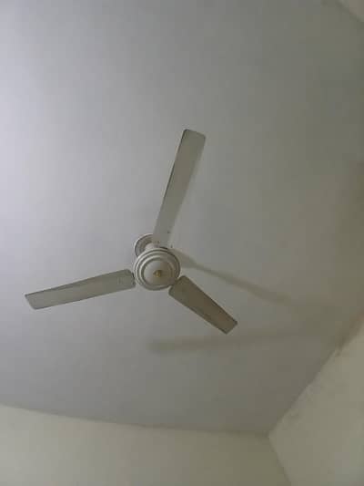 ceiling fan