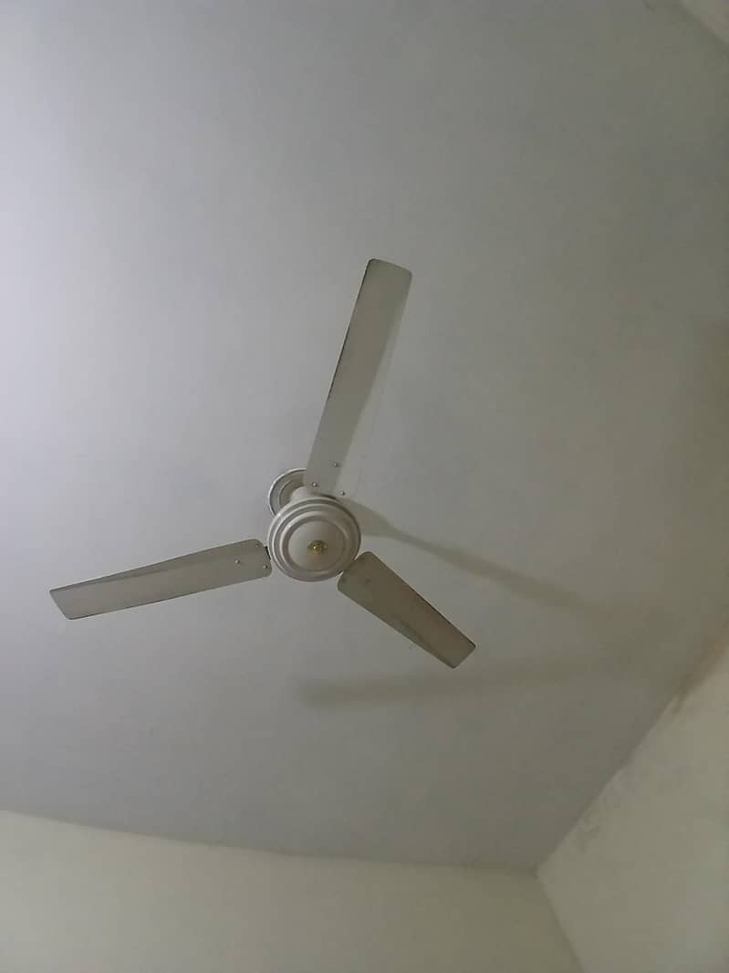 ceiling fan 0