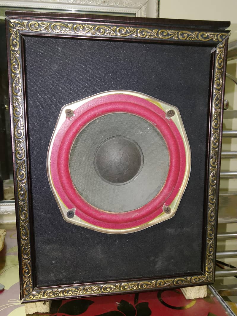 speaker 8