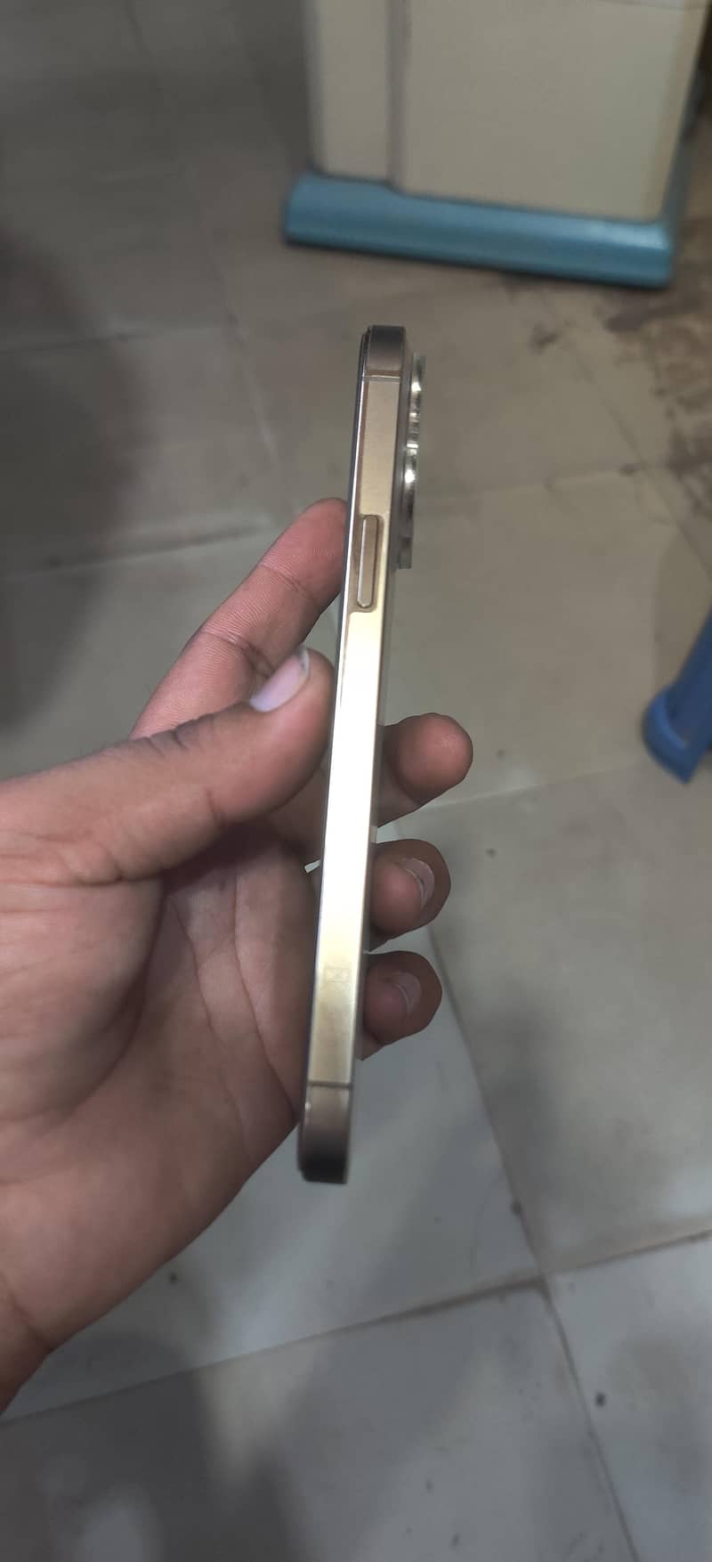 Apple iPhone 13 Pro Max 2
